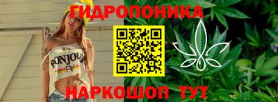 твердый Новозыбков